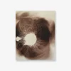 Spore Print Specimen No. 20