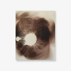 Spore Print Specimen No. 20