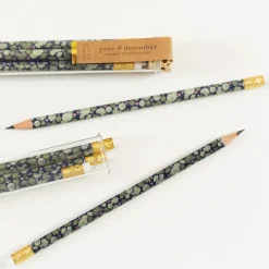 Succulent Pencil Terrarium