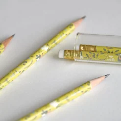 Tea Garden Pencil Terrarium