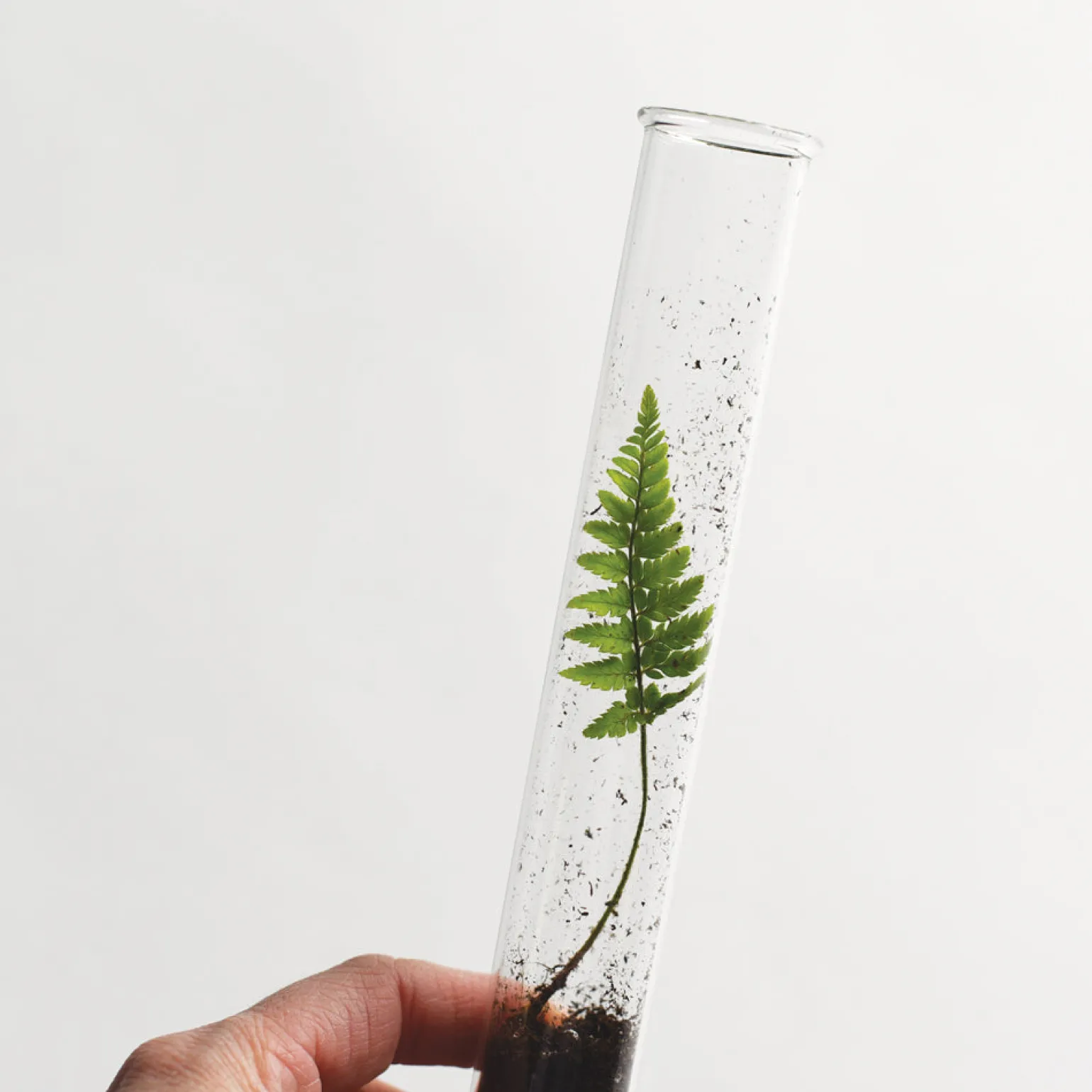Water Pencil Terrarium