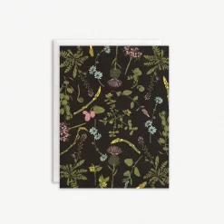 Wild Foraged Edibles Boxed Set