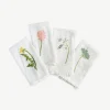 Wild Pretties Napkins