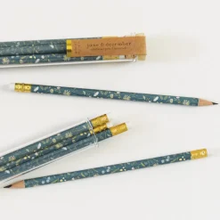 Wildflower Pencil Terrarium