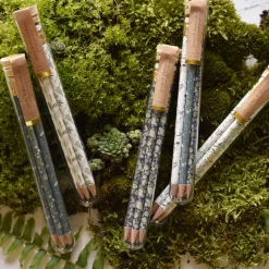 Wildflower Pencil Terrarium