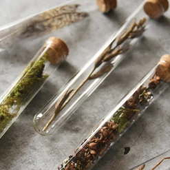 Wildflower Pencil Terrarium