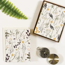 Wildflowers by Region Box Set